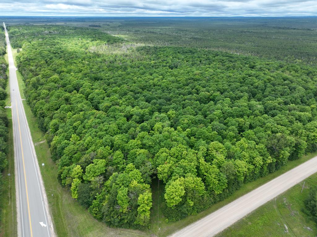 Image 1: View of the property's road frontage.