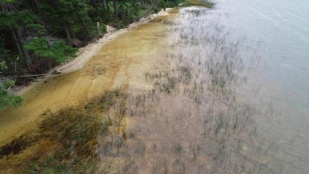 TBD Champs Elysees RD