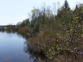 Lot 2 & 3 Beaver Bay
