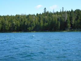 Lot #2 Marquette Island