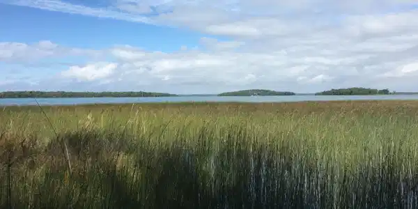 TBD E Tourist RD