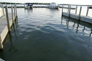 Unit # 9 Hessel Harbor