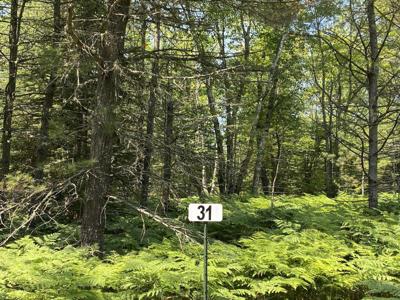 Lot 31 THIRD CREEK SUBDIVISION