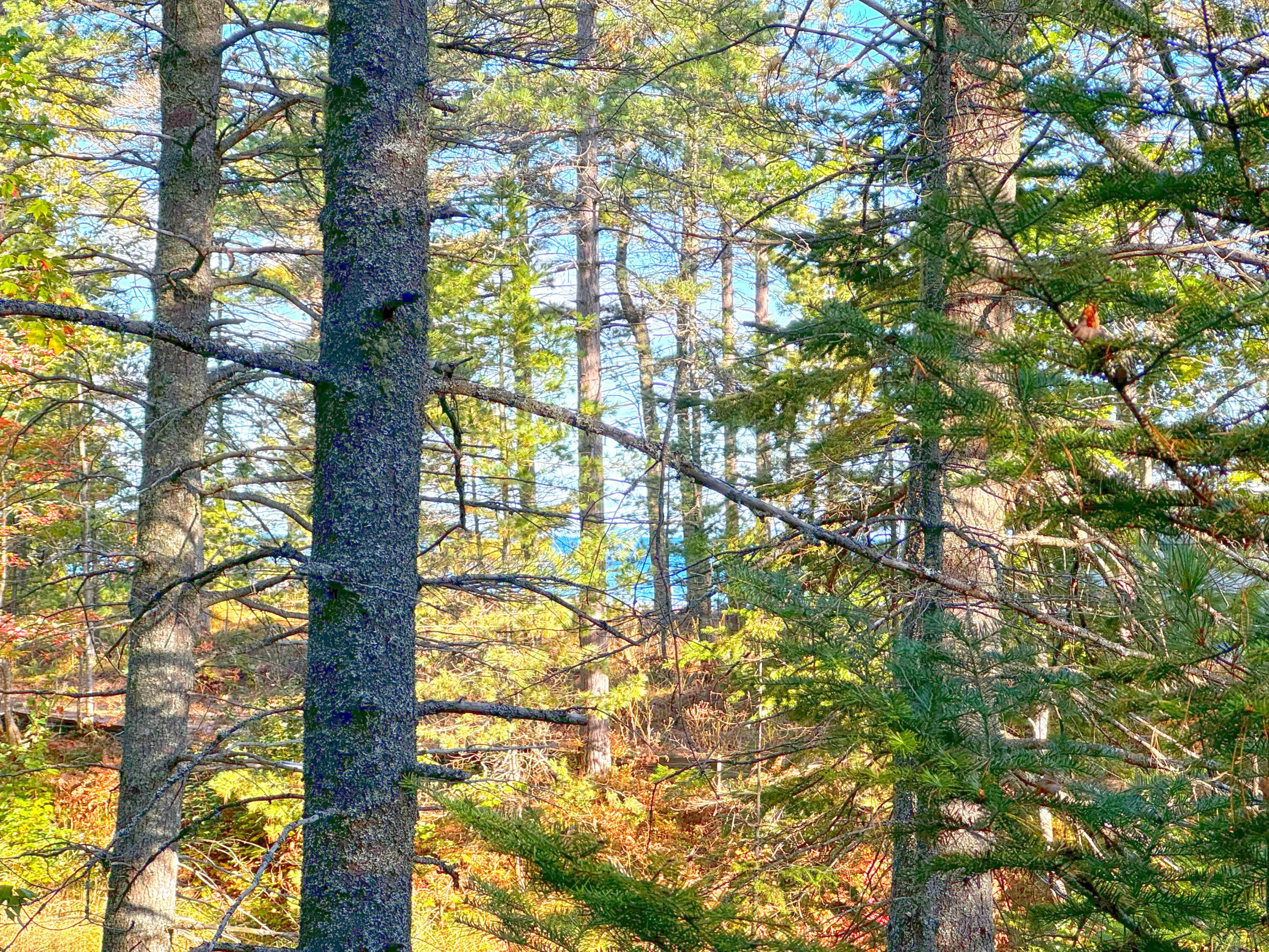Image 2: Lot 7
