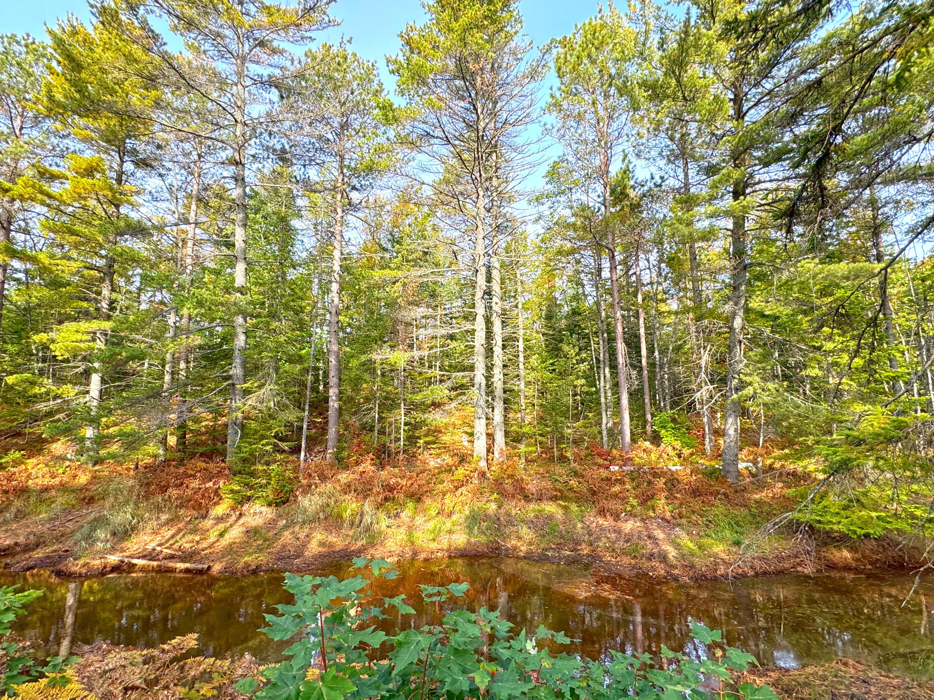 Image 3: Lot 7