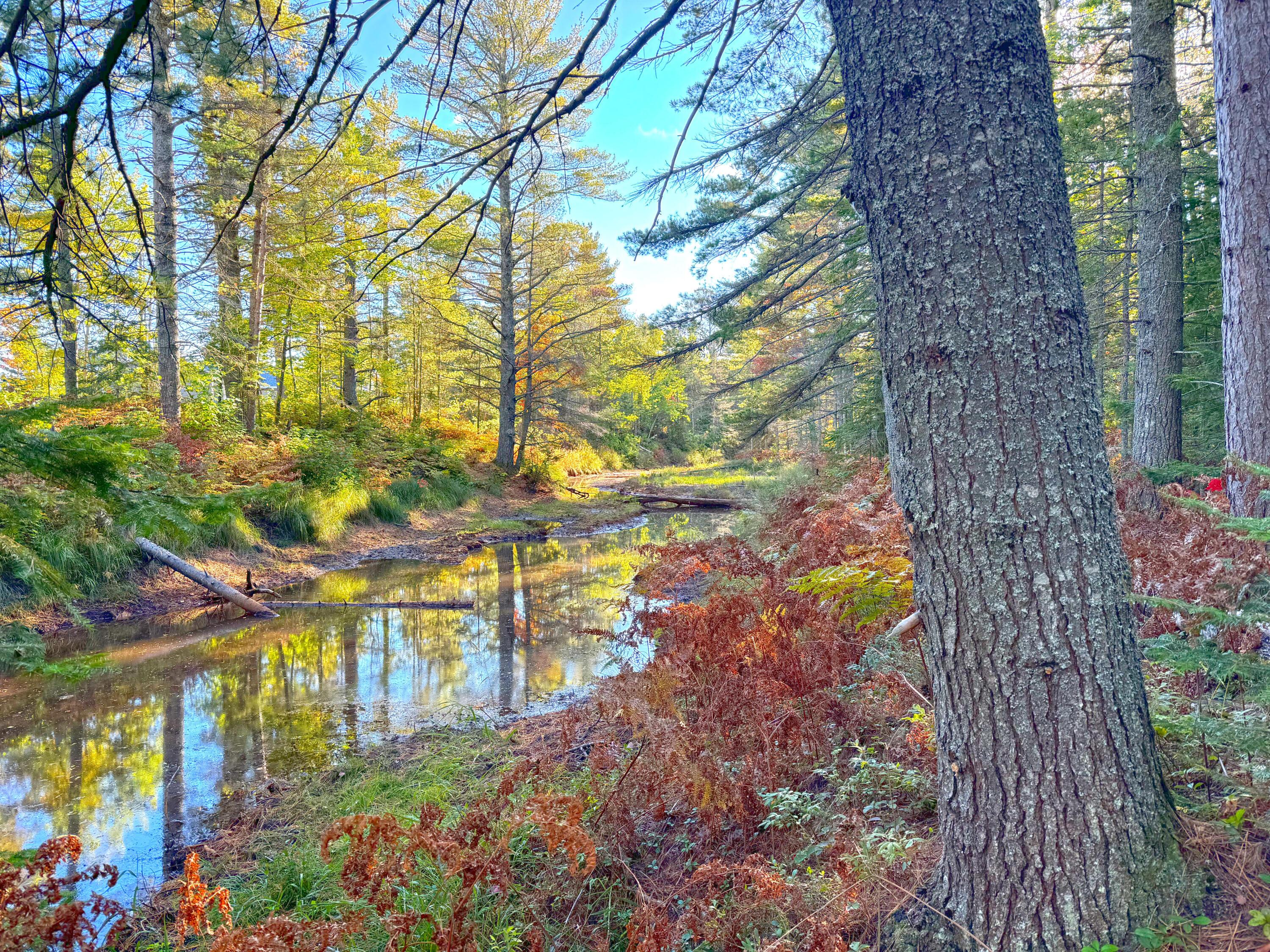 Image 4: Lot 7