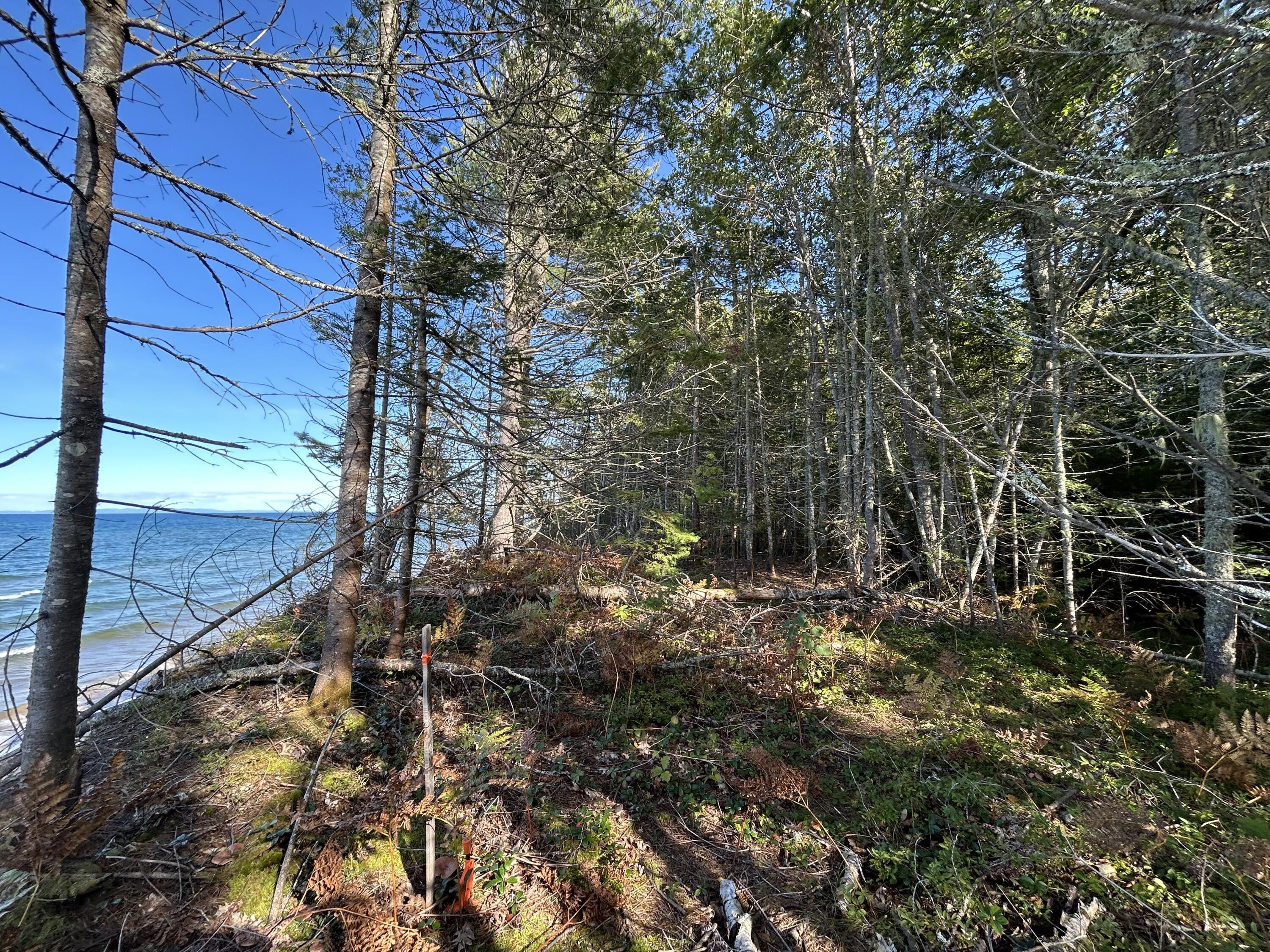 Image 4: PR B W Wildcat Rd, Paradise, MI