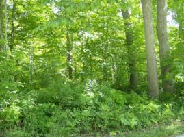 0 W Maple, Lot #10 ST