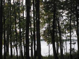 273 ft Big Manistique Lake (Dreffs DR