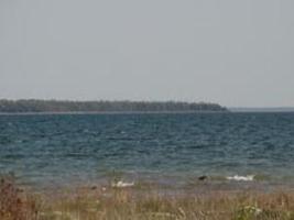 000 S Pontchartrain Shores RD