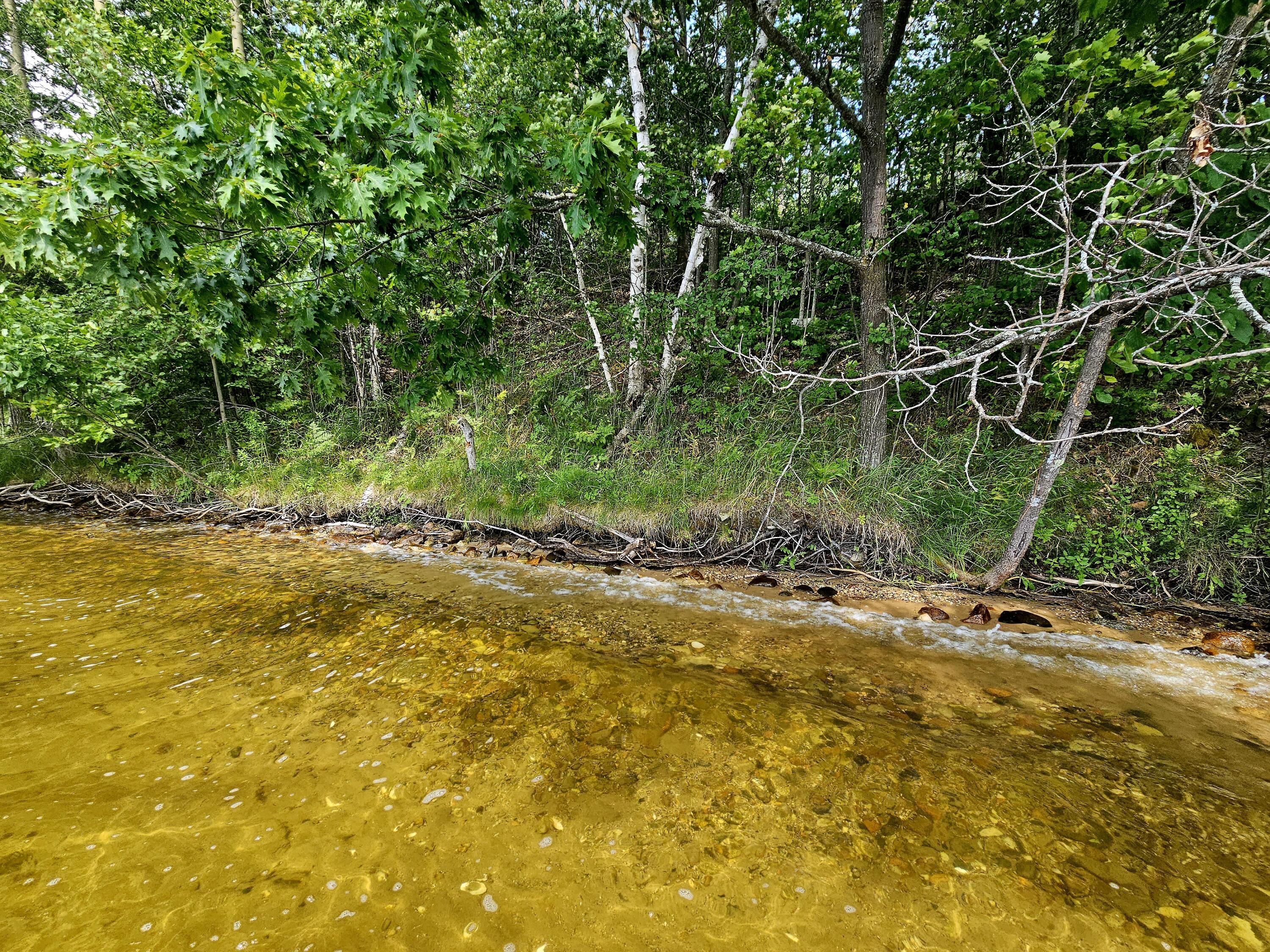 Image 3: 20240728_124609