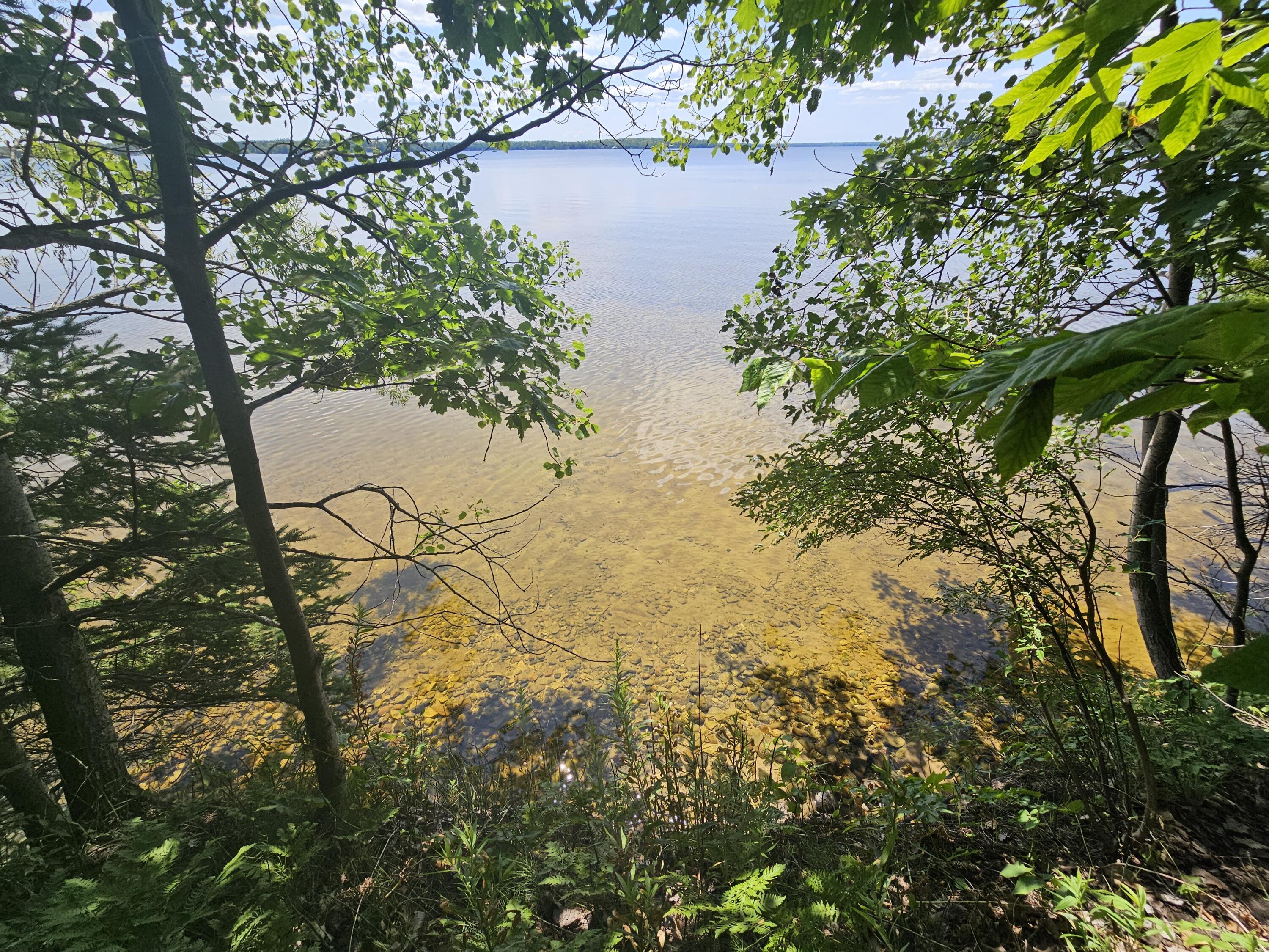 Image 4: 20240725_125910