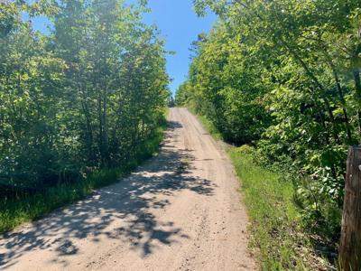 13713 N Whitefish Point RD
