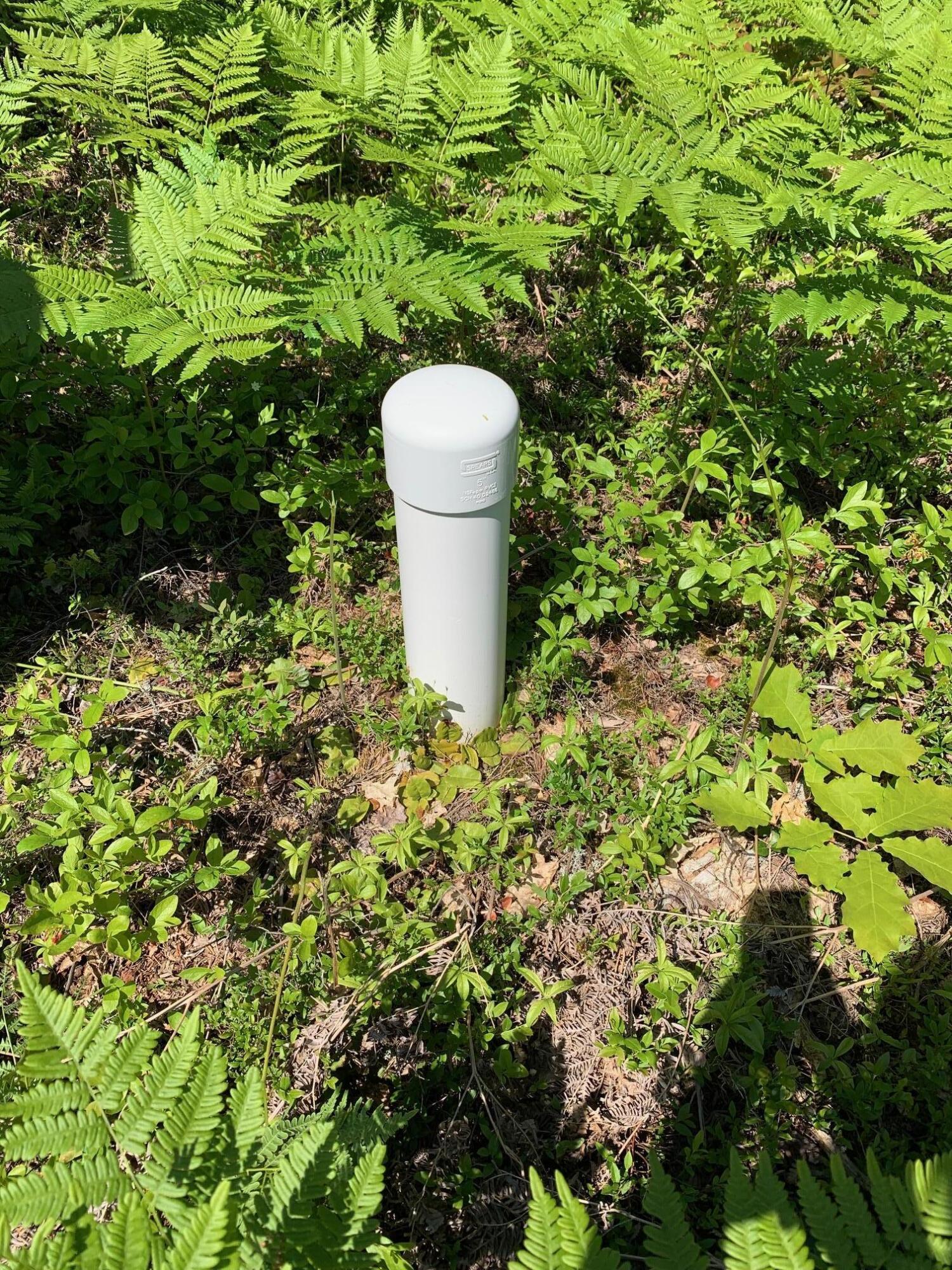 Image 4: Test Well