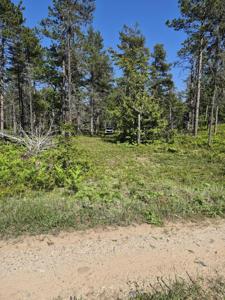 Andrus N Whitefish Point RD