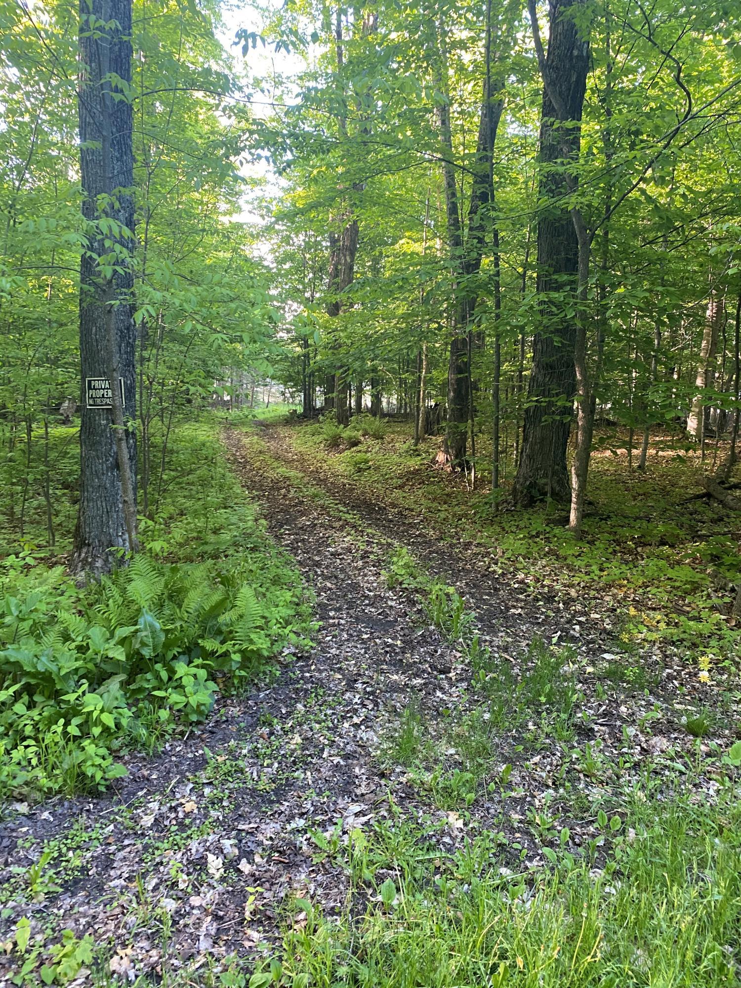 Image 3: V-254 access to lake