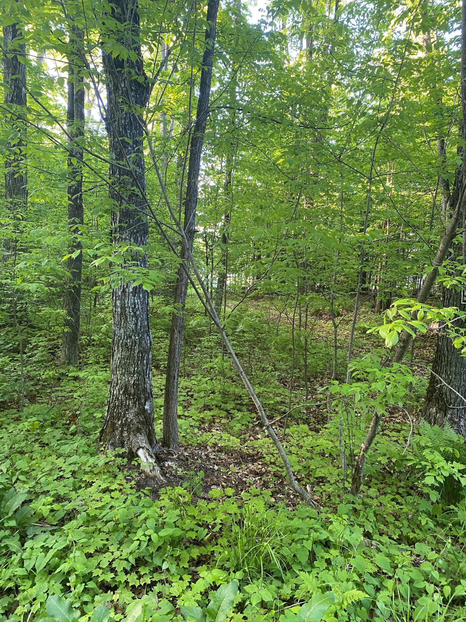 Image 4: V-254 access