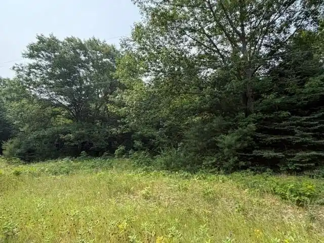 Image 1: 3