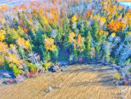 00 S Maple Point RD