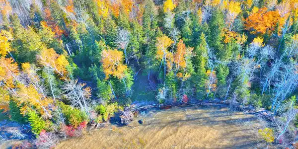 00 S Maple Point RD