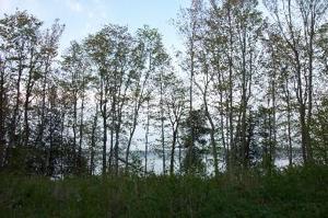 0 Lakeshore DR
