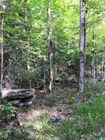 Lot 113 Brown Trail