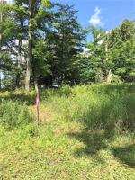 Lot 111 Brown Trail