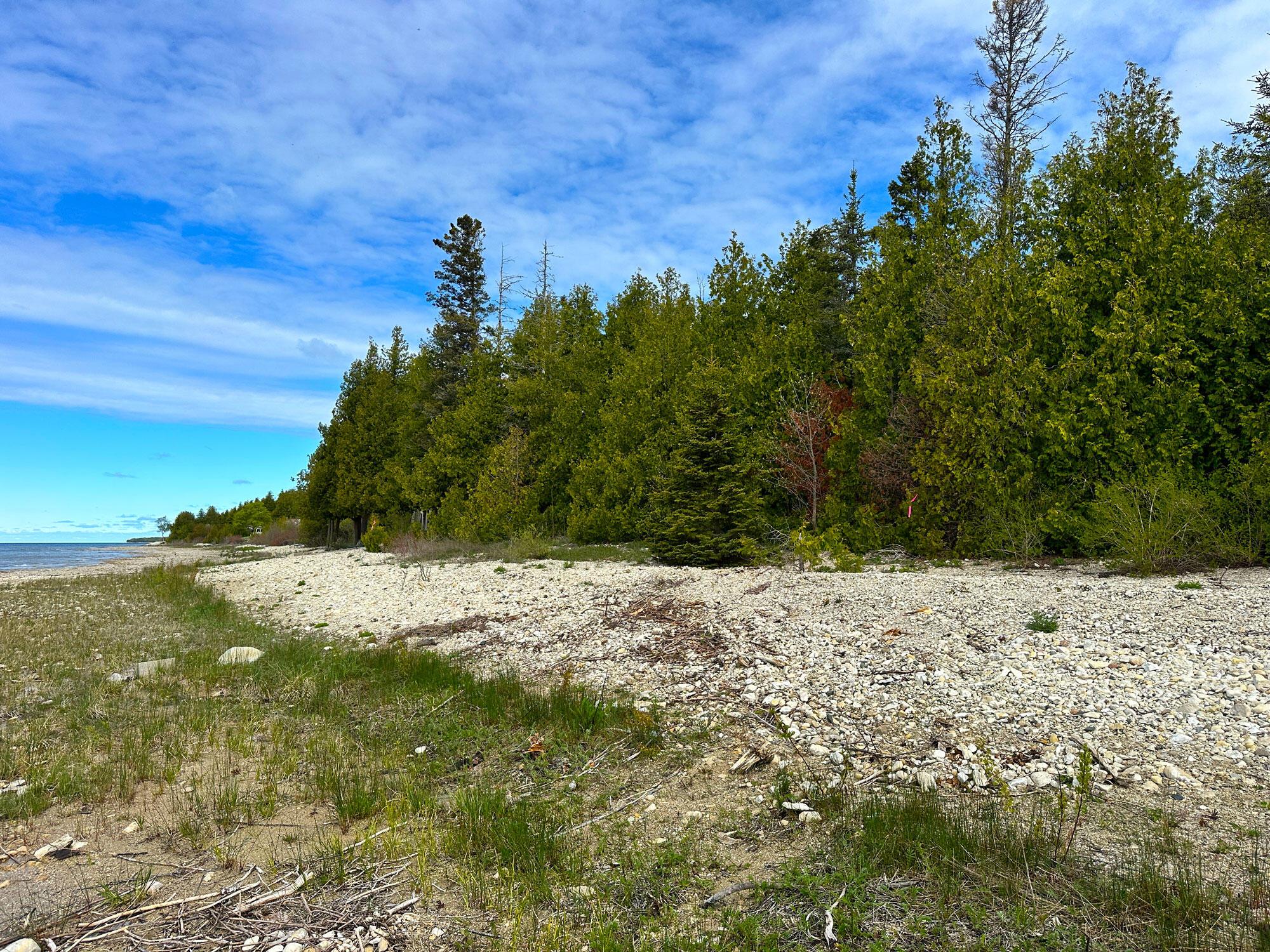 Image 3: n16