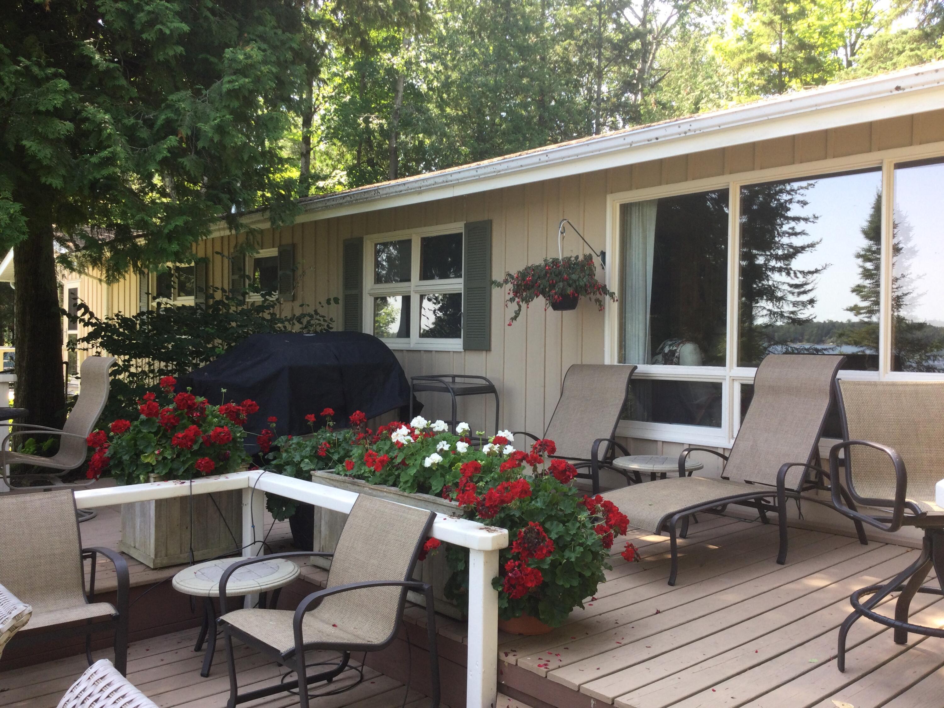 Image 3: Deck