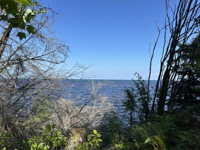 10170 N Whitefish Point RD
