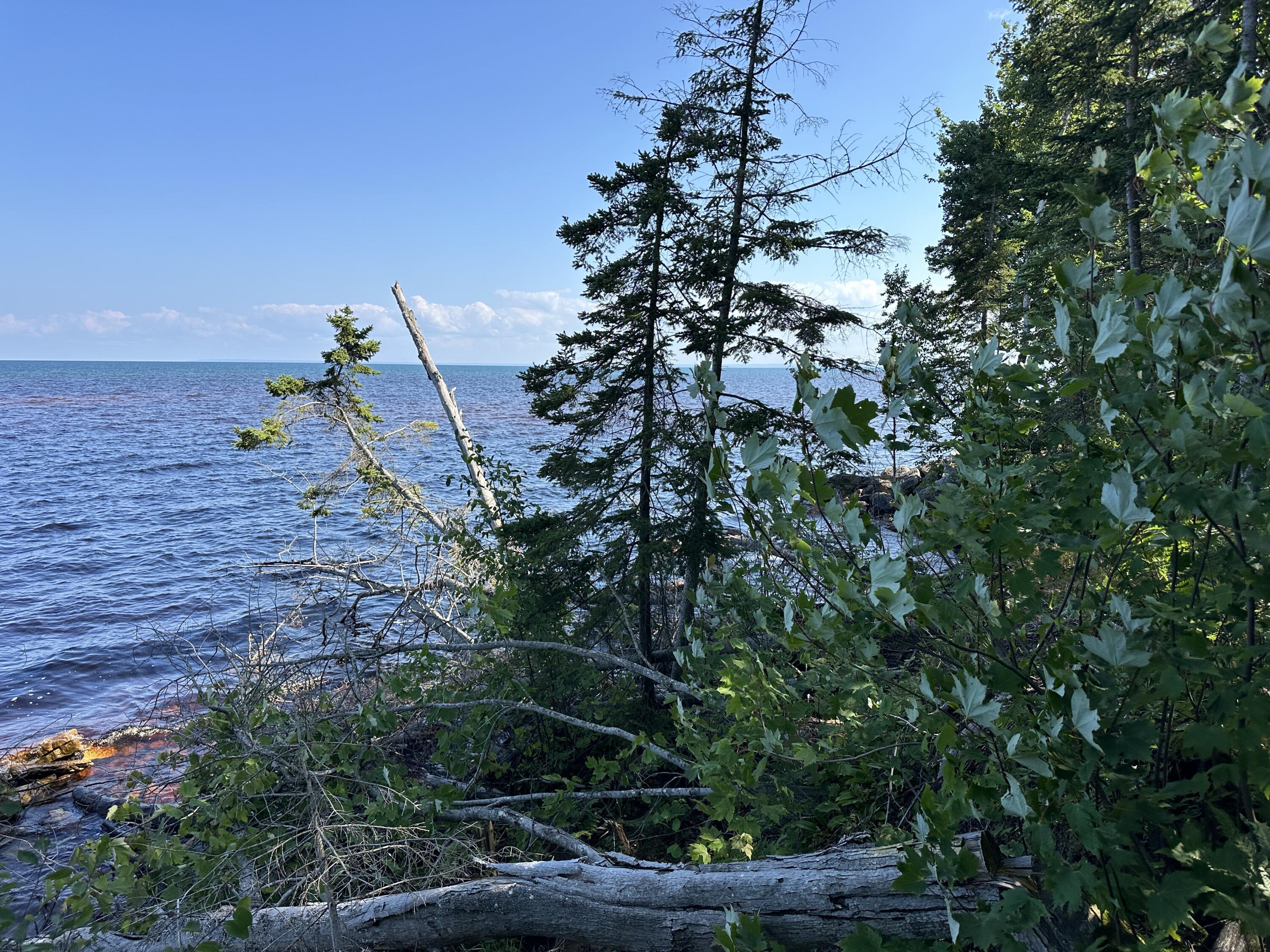 Image 4: IMG_8338