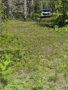 Andrus N Whitefish Point RD