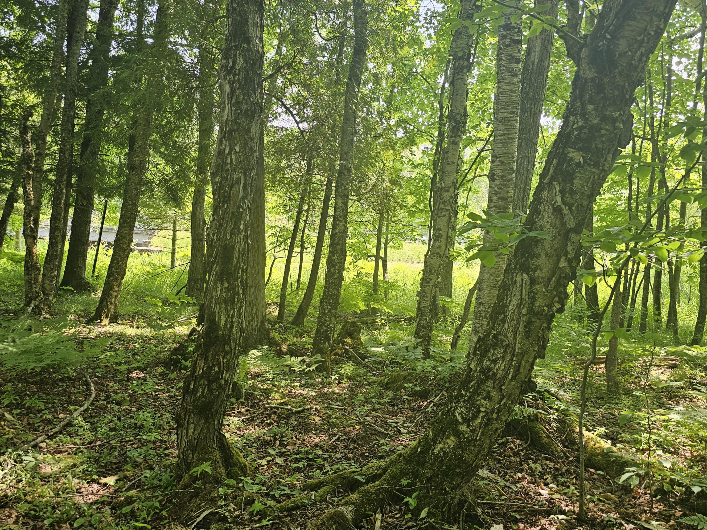 Image 3: 20260628_145111
