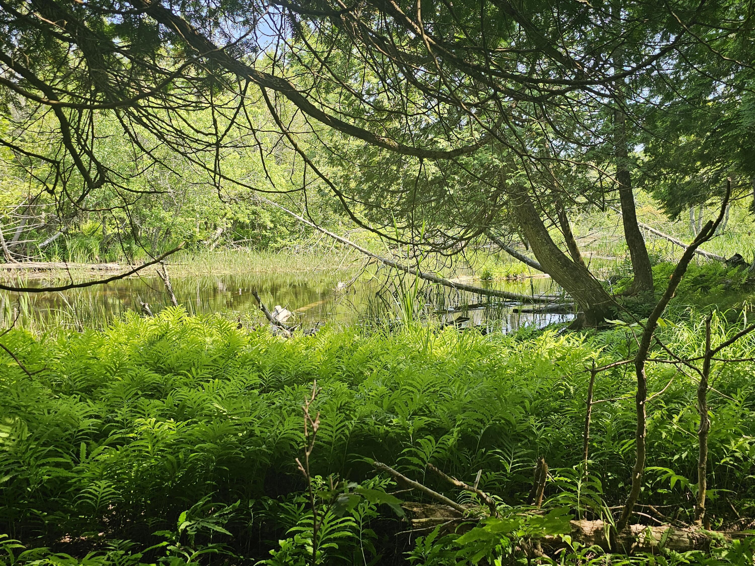 Image 4: 20260628_144917