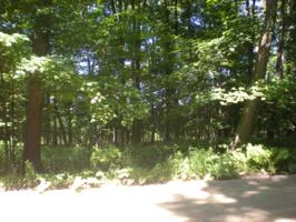 000 Long Point RD