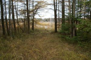 1386 S Hill Island RD