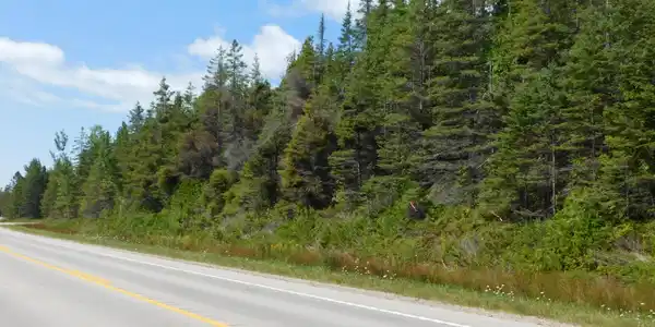 TBD E M-134 HWY