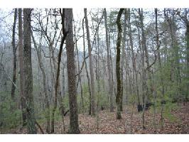 3590 Blazingstar Trail Lot 3590