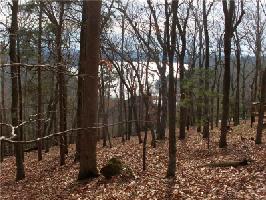217 Ponderosa Lane Lot 43