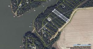Lot 9 Cotton Cove Drum, Georgetown GA 39854
