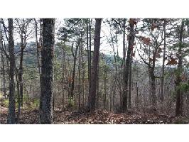 19 Signal Mountain Drive Lot 61