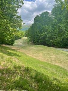LT272 Tamarack Drive