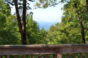 126 Little Hendricks Mountain Circle