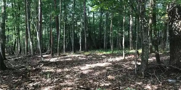 Lot 249 Windy Ridge Road
