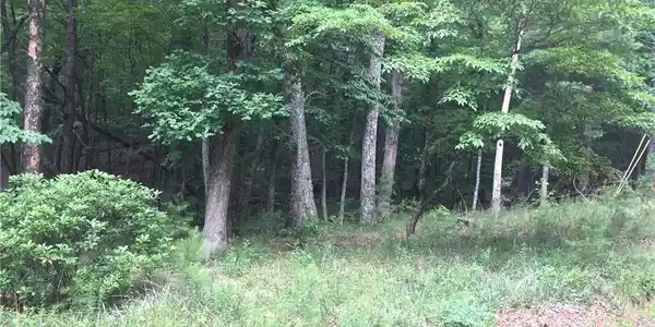Lot 46 Buckeye Trail