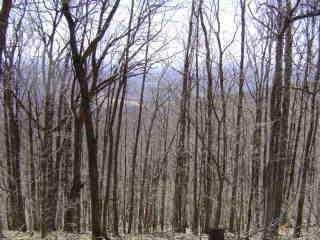 1843 Echo Ridge