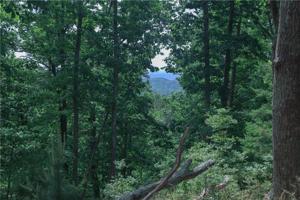 21 Signal Mtn SE