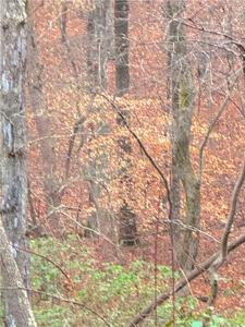 Lot 3565 Crooked Creek