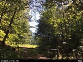 Lot 265 Oak Hill Road