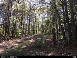 Lot 264 Hagin Lane
